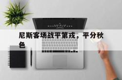 尼斯客场战平第戎，平分秋色的简单介绍